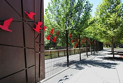 Типового решения - «Парк» Фотография №5