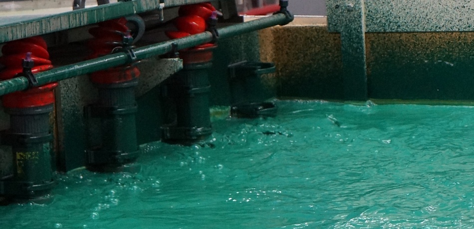 линия катафорез VilBau