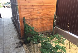 Типового решения - «Садовый участок» Фотография №8