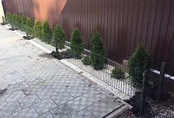 Типового решения - «Садовый участок» Фотография №1